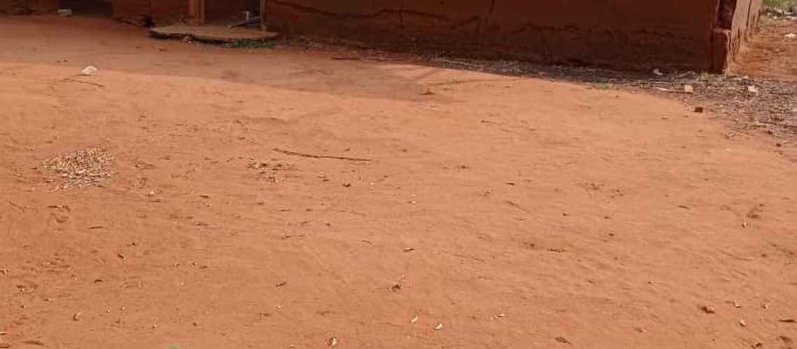 PHOTO-2022-03-01-07-44-23